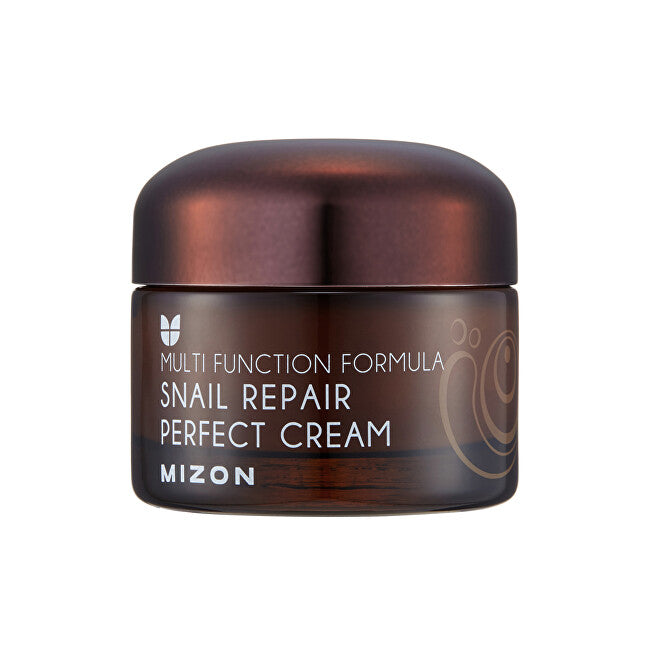 Mizon Mizon Crema viso con secrezione di lumaca filtrata 60% per pelli problematiche (Snail Repair Perfect Cream) 50 ml