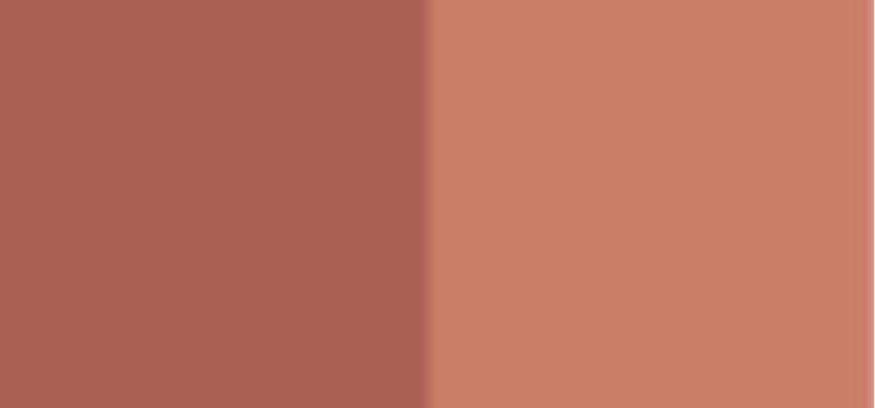 Lip Liner & Lipstick Vamp! (Creamy Duo) 0.2 g + 0.8 g - Shade: 003 Warm Nude