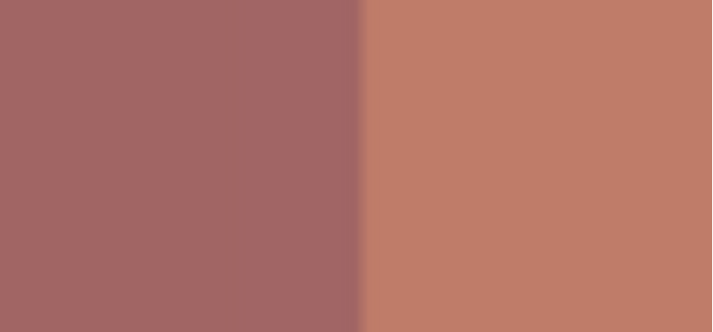 Lip Liner & Lipstick Vamp! (Creamy Duo) 0.2 g + 0.8 g - Shade: 005 Deep Nude