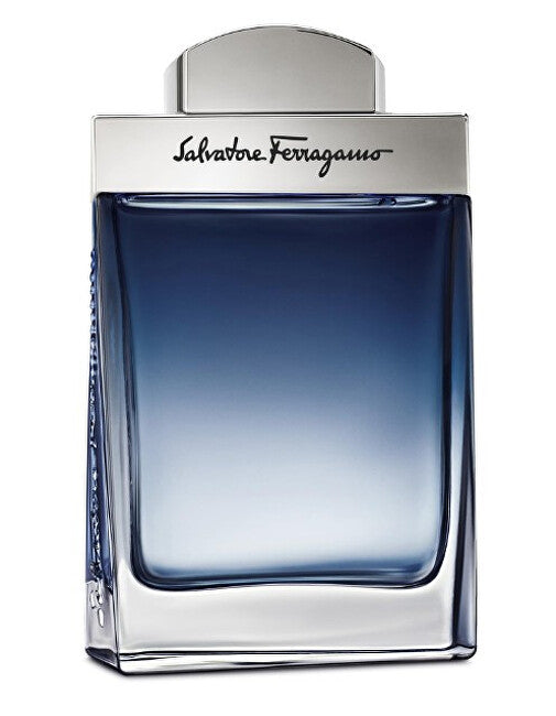 Subtil Pour Homme - EDT - Volume: 100 ml