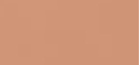 Tanning Compact Foundation Refill SPF 10 12 g - Shade: Bronze
