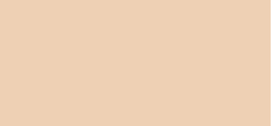 Waterproof Camouflage Concentrate (High Coverage Concealer) 5 ml - Shade: 020 Light Beige