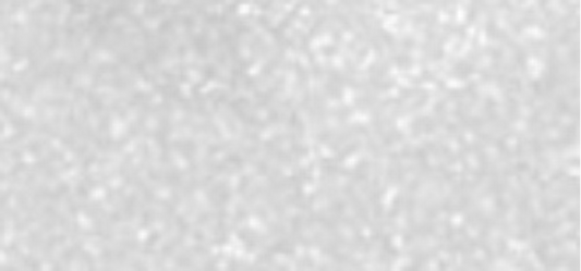 Waterproof Tattoo Liner (Gel Pencil) 1.3 g - Shade: 970 Polished White