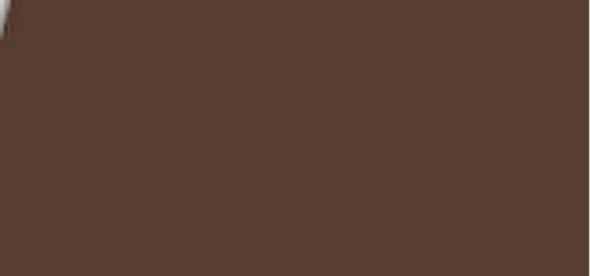 (Eye Brow Filler) 7 ml - Shade: 6 Soft Brunette