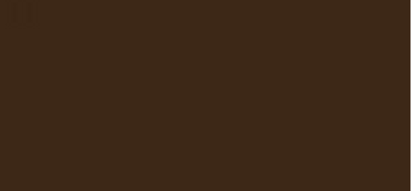 Wonder`Luxe ( Volume Mascara) 11 ml - Shade: 02 Brown