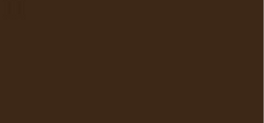 Wonder`Luxe ( Volume Mascara) 11 ml - Shade: 02 Brown